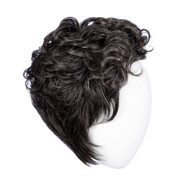 DIGNIFIED - TWC- The Wig Company