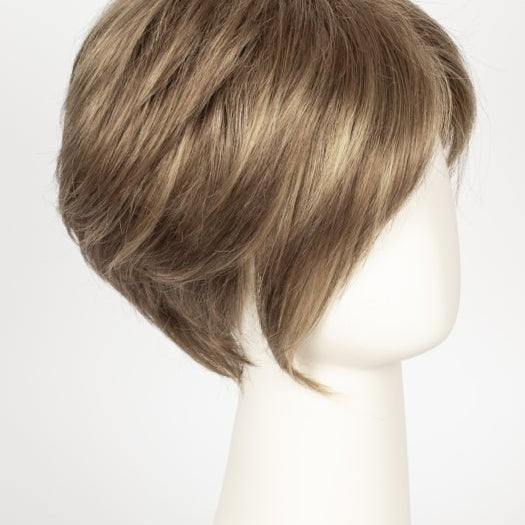 R12/26H | Light Brown with Golden Blonde Highlights on Top