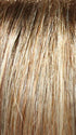 14/26S10 SHADED PRALINES N' CREAM | Light Gold Blonde & Medium Red-Gold Blonde Blend, Shaded with Light Brown