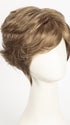 R12/26H | Light Brown with Golden Blonde Highlights on Top