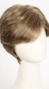 R12/26H | Light Brown w/Golden Blonde Highlights on Top