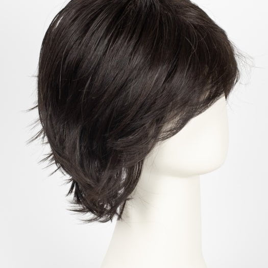 2/4R | Very Dark Brown with highlights