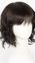 2/4R | Very Dark Brown with highlights