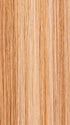 24B/27C BUTTERSCOTCH | Light Gold Blonde and Light Red-Gold Blonde Blend
