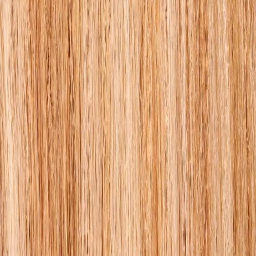 24B/27C BUTTERSCOTCH | Light Gold Blonde and Light Red-Gold Blonde Blend