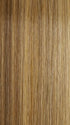 12F PECAN PRALINE | Light Gold Brown, Light Natural Gold Blonde and Pale Natural Gold-Blonde Blend