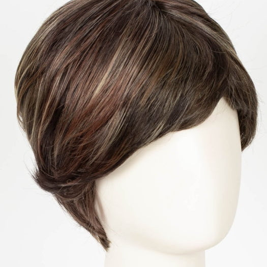 DARK BROWN HL | A Blend of Dark Brown, Strawberry Light Auburn and Soft Chunky Medium and Dark Blonde Highlights.