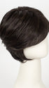 RL2/4 OFF BLACK | Black Evenly Blended with Dark Brown Highlights