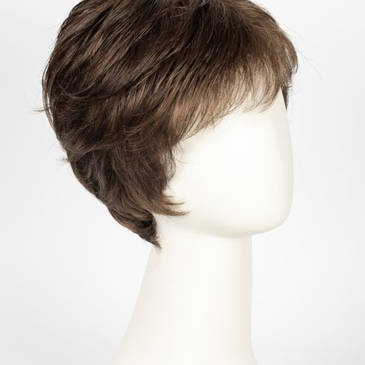 R10 CHESTNUT | Rich Medium Brown With Light Golden Brown Highlights All Over