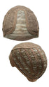 Cap Construction | Lace Front | Mono Part | Wefted