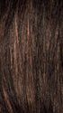 CINNAMON RAISIN | Medium Brown with Auburn and Cinnamon highlights