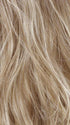 R12/26CH | Light Brown w/Chunky Golden Blonde Highlights