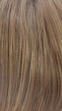 R14/26H | Dark Blonde w/Golden Blonde Highlights