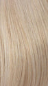 R16/100 | Honey Blonde with Platinum Blonde