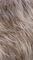 R17/101 | Ash Brown/Platinum Blonde Blend