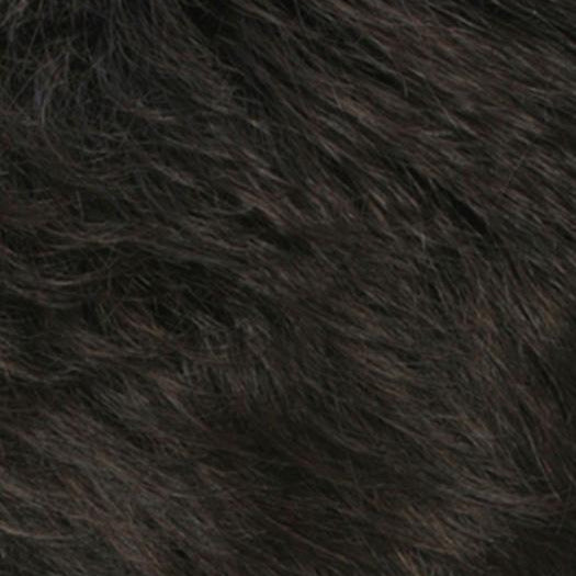 R2/4 | Darkest Brown Blended With Dark Brown