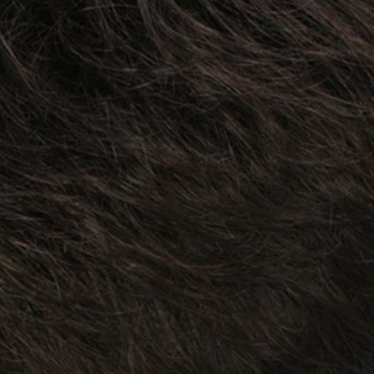 R4/6 | Dark Brown Blended With Chestnut Brown