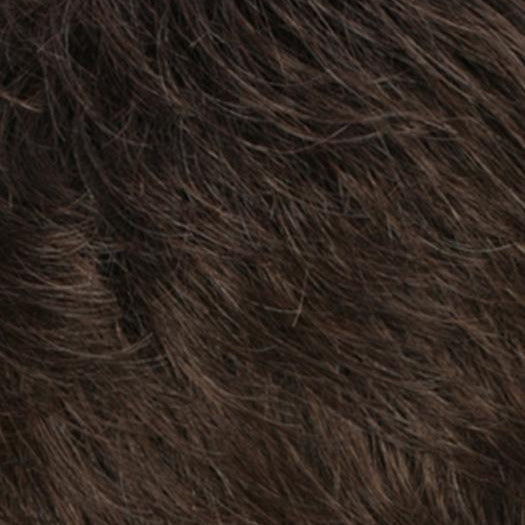 R6/10 | Chestnut Brown Blended With Medium Ash Brown