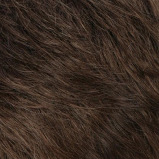 R8/12 | Golden Brown Blended With Light Brown