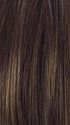 R829S+ GLAZED HAZELNUT | Medium Brown with Ginger highlights on top