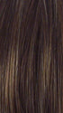 R829S+ GLAZED HAZELNUT | Medium Brown with Ginger highlights on top