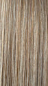 SPRING HONEY | Honey Blonde and Gold Platinum Blonde blend
