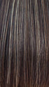 CHOCOLATE-FROST | Dark Brown Base with Honey Blonde and Platinum Highlights