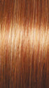 GF29-33SS ICED PUMPKIN SPICE | Strawberry Blonde shaded with Dark Red-Brown