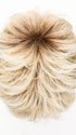 SANDY BLONDE ROOTED 26.16.25 | Medium Blonde and Light/Lightest Golden Blonde blend with Shaded Roots