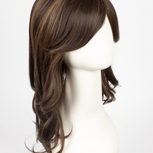 FS4/27 | 80% Medium Dark Brown with 20% Honey Blonde Frost