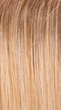 24B/27CS10 SHADED BUTTERSCOTCH | Light Gold Blonde & Medium Red-Gold Blonde Blend, Shaded with Light Brown
