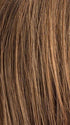 CHOCOLATE LIGHTED 830.6.27 | Dark and Medium Brown Blended with Light Auburn Brown and Dark Strawberry Blonde with Highlights Throughout and Concentrated in the Front
