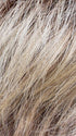 PEARL ROOTED 101.48.49 | Pearl Platinum and Lightest Brown with Medium Ash Blonde and Grey Blend with Shaded Roots