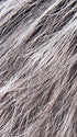 SALT/PEPPER ROOTED 60.23.58 | Darkest and Dark Brown with Grey and Pearl White Blend with Shaded Roots
