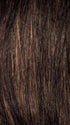 CINNAMON RAISIN | Medium Brown with Auburn and Cinnamon highlights
