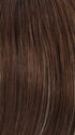 R8/26H | Golden Brown with Golden Blonde Highlights