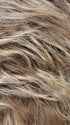 RH12/26RT4 | Light Brown with Chunky Golden Blonde Highlights & Dark Brown Roots