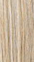 SANDY BLONDE ROOTED 16.22.20 | Medium Blonde, Light Neutral Blonde, and Light Strawberry Blonde Blend with Shaded Roots