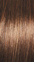 GL10-12 SUNLIT CHESTNUT | Rich Brown with Caramel Highlights