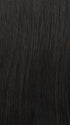 GL 2-6 BLACK COFFEE | Darkest brown