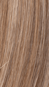 LIGHT BERNSTEIN MIX 12.26.27 | Lightest Brown, Light Golden Blonde, and Dark Strawberry Blonde Blend