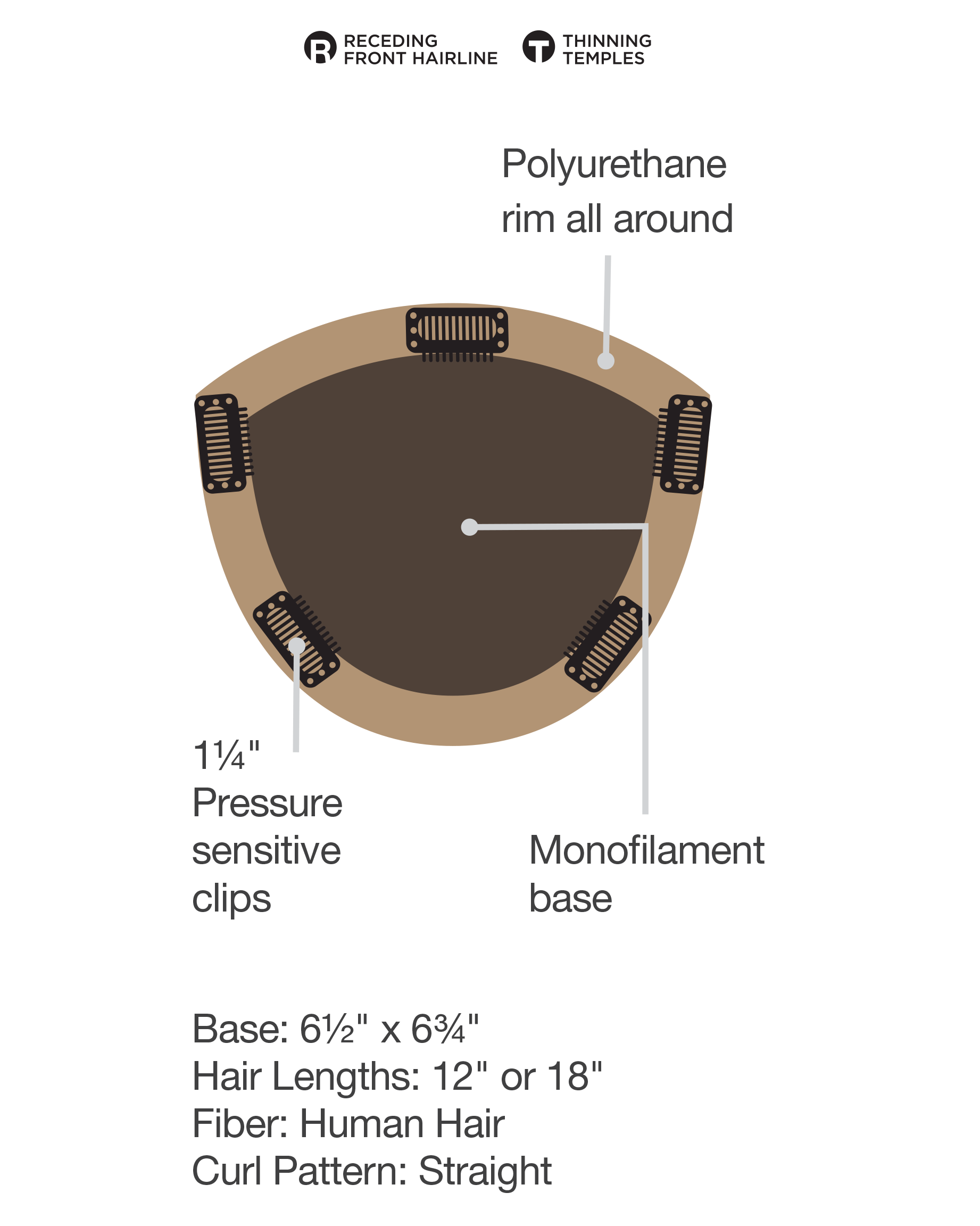 GILDED 12 INCH TOPPER - TWC - The Wig Company