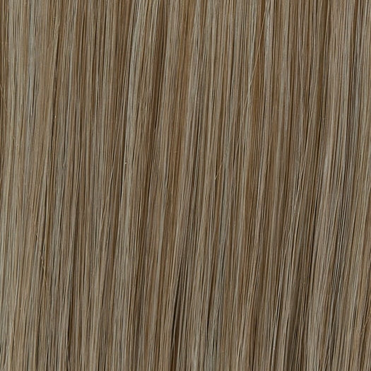 10/613 | Light Ash Blonde with Platinum Blonde Highlights  