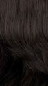 1BH | Off Black with Medium Dark Brown Highlights