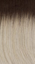60/101GR | Silver tones with Light Platinum Highlights and Brown Roots 