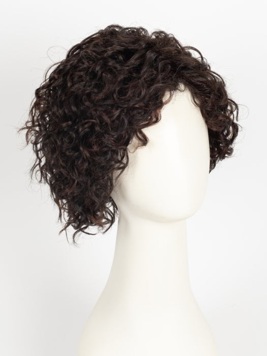 FS1B/33 | 80% Off Black with 20% Dark Auburn