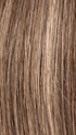 NOUGAT MIX 8.12.20 | Medium Brown and Lightest Brown with Light Strawberry Blonde Blend