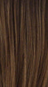 TP27/4 | Medium Dark Brown Highlight Streak with Honey Blonde Tip