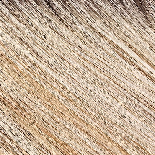 101/88/27S8 CATALINA BLONDE | Pale blonde with Pure White Natural Violet halo highlights, shaded medium brown