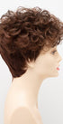 CINNAMON RAISIN | Medium Brown with Auburn and Cinnamon highlights